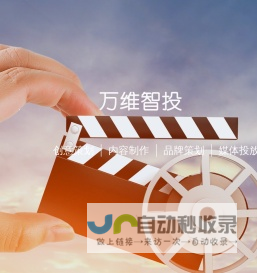 万维智投